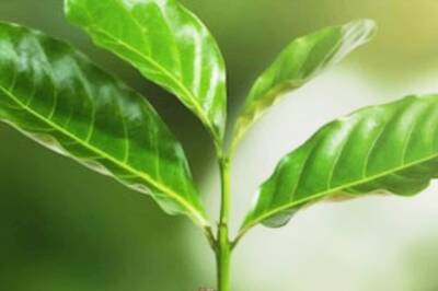 Sensitisation on Environmental Issues Needs to Be Imbibed Deeply at School Level: Wangchuk