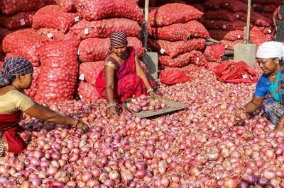 Onion Prices Touch Rs 60-70 Per Kg in Delhi-NCR, Other States; Upsurge May Continue Till Dec