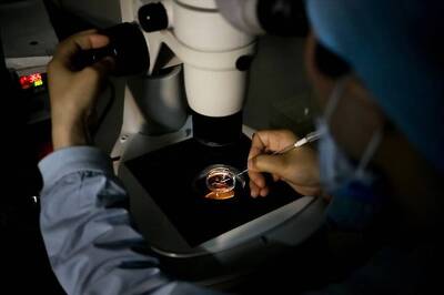 Older Parents Embrace IVF As China Relaxes Child Policy