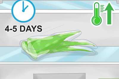 How to Store Aloe Leaves