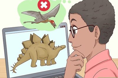 How to Become an Expert on Dinosaurs