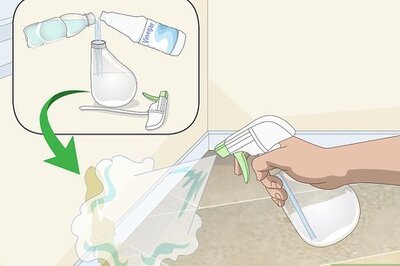 How to Eliminate Cat Odors Around the House