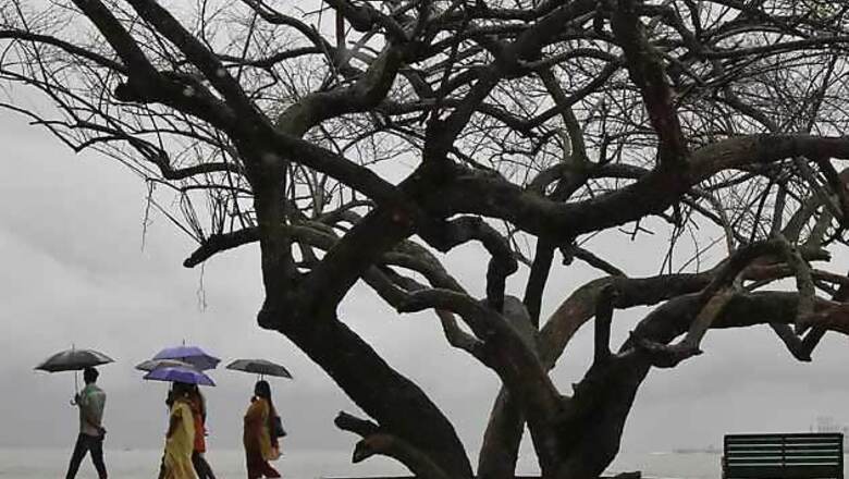 Monsoon to hit Mumbai in next 48 hours: IMD