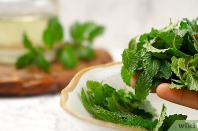 How to Make Peppermint Oil