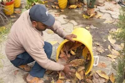 In Madhya Pradesh's Damoh, School Students Develop Organic Fertilisers Using Domestic Waste