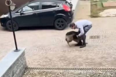 This Video Of Dog’s Reunion With Its Human Friend After 3 Years Screams Love