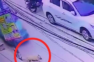 'Inhuman': Car Deliberately Runs Over Sleeping Dog in Ghaziabad, Disturbing Footage Goes Viral