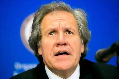 OAS Chief Under Fire For Removal Of Top Rights Official