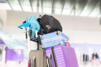 Easy DIY Tips To Clean Trolley Bags At Home