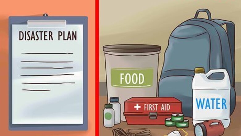 How to Survive a Hurricane