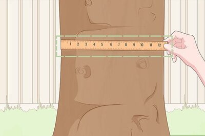 How to Measure a Tree's Diameter