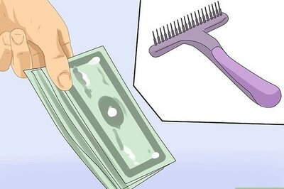 How to Groom a Siberian Husky