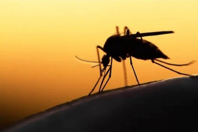Zika Virus Scare In 79 Villages of Pune District