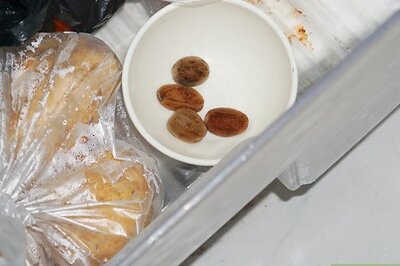 How to Shell Brazil Nuts