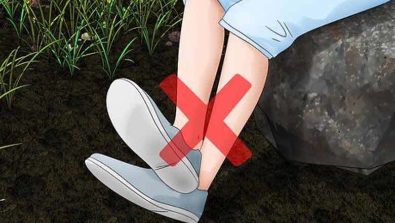How to Keep Bugs Away