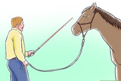 How to Do the Seven Games of Parelli