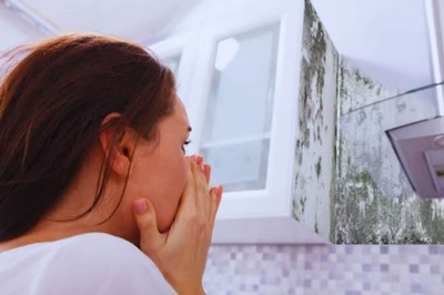 US Couple Finds Hidden Hard Drives, Dead Mice In Ceiling Of Rented Apartment