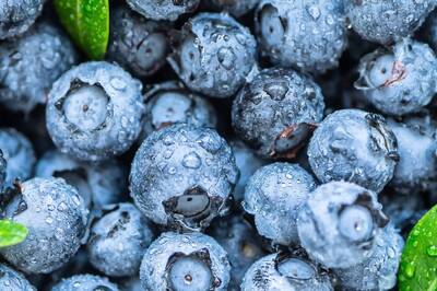 What Are Phytochemicals And Why You Must Include Them in Your Diet?