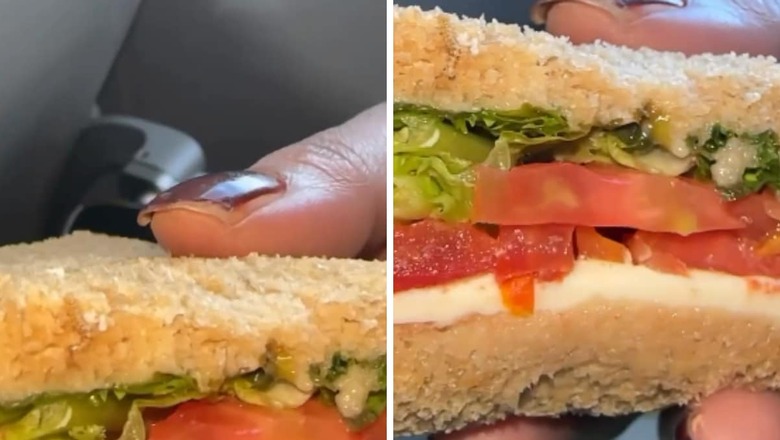 Indigo Passenger Finds Live Worm In Sandwich; Airline Responds