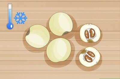 How to Plant Loquat Seeds