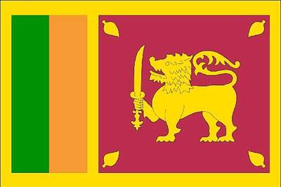 Lanka Army announces first probe into war crimes