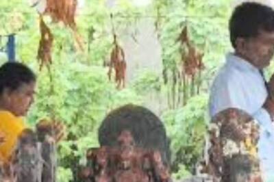 Expert Shares The Significance Of Navagrahas In Temples