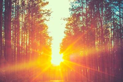 Aaj Ka Panchang, 15 April, 2024: Tithi, Vrat, and Today’s Shubh, Ashubh Muhurat