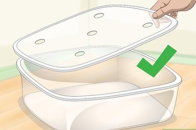 How to Get Rid of Mites on Snakes