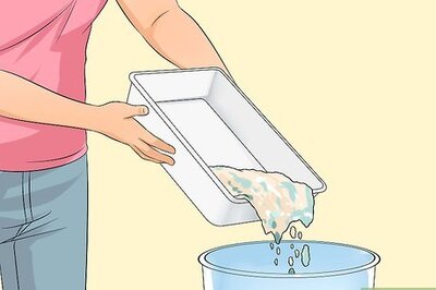How to Clean a Litter Box