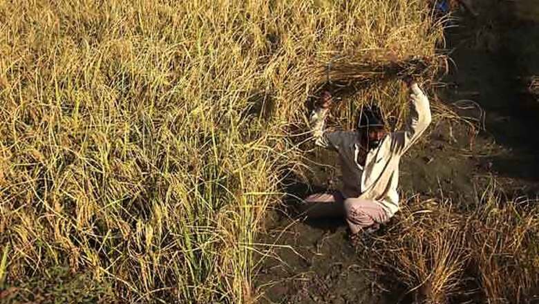 Govt lowers growth projection for FY13 to 5.7 pc