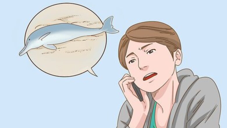 How to Save a Stranded Dolphin
