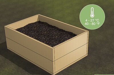 How to Start a Worm Farm for Profit