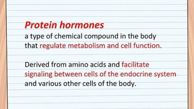 How to Study the Functions of Protein Hormones in Humans