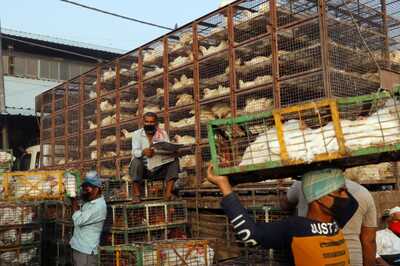 Bengaluru Civic Agency Prohibits Animal Slaughter, Meat Sale on Sri Rama Navami