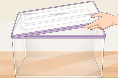 How to Care for Frog Eggs