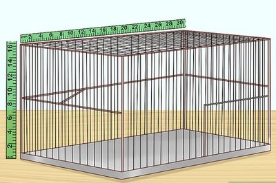 How to Keep a Single Canary