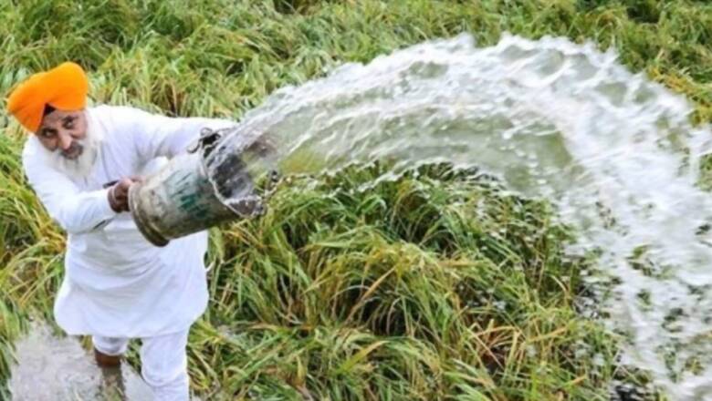 Lower Kharif Sowing Calls for Deft Management of Foodgrain Stock, Prices: FinMin Report