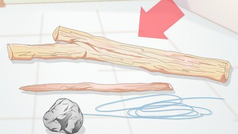 How to Make a Bird Trap