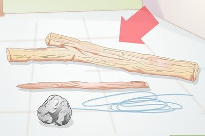 How to Make a Bird Trap