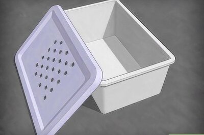 How to Breed Mealworms