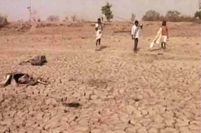 Fodder supply hit in drought-affected states
