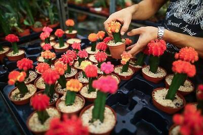 7 Things to Do At Home During Quarantine