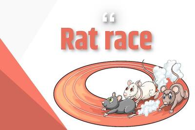 Mindfulness: The Dark World of Desires and Competition