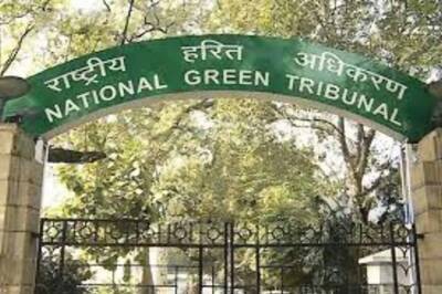Will Send Andhra Secretary to Jail if Illegal Irrigation Works Are Not Stalled, Warns NGT