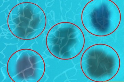How to Diagnose and Remove Any Swimming Pool Stain