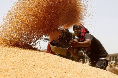 Modi Govt’s ‘Waste Not’ Plan: Massive Storage Infra for Excess Foodgrain