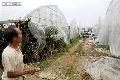 Typhoon Neoguri makes landfall on Japan's southern main island