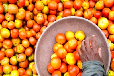 Tomato Prices Send Home Budgets for a Toss, Some Skip Staple Ingredient in Meals