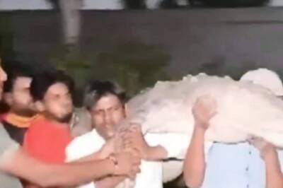 Watch: Crocodile's ‘City Outing’ Comes To An End With A  Rescue Act