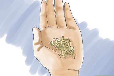 How to Grow Angelica